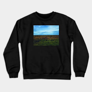 Heather & Gorse Crewneck Sweatshirt